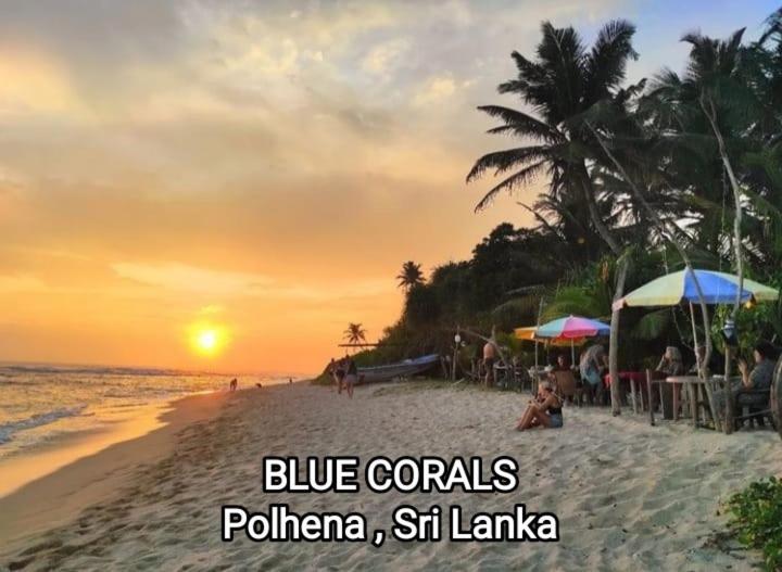 Blue Corals Beach Bungalow Matara Eksteriør billede