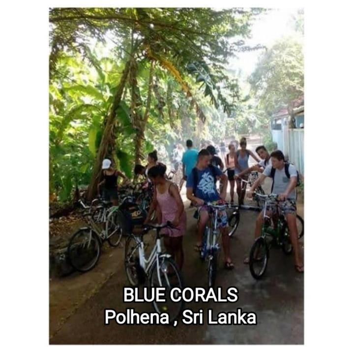 Blue Corals Beach Bungalow Matara Eksteriør billede