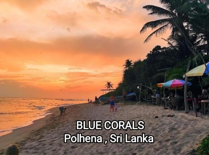 Blue Corals Beach Bungalow Matara Eksteriør billede