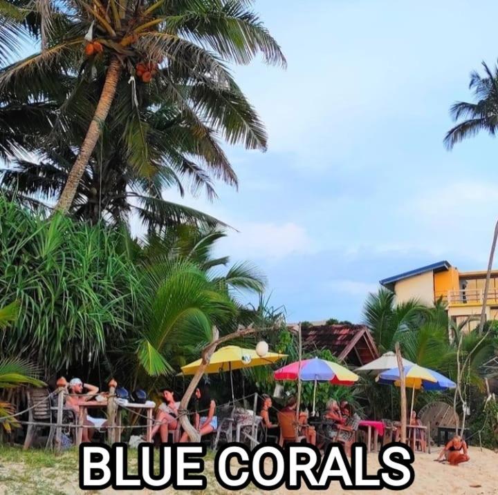 Blue Corals Beach Bungalow Matara Eksteriør billede