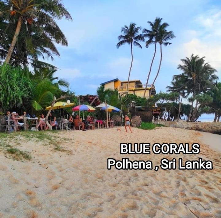 Blue Corals Beach Bungalow Matara Eksteriør billede