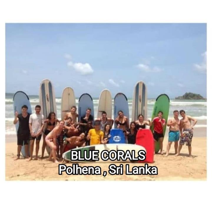 Blue Corals Beach Bungalow Matara Eksteriør billede
