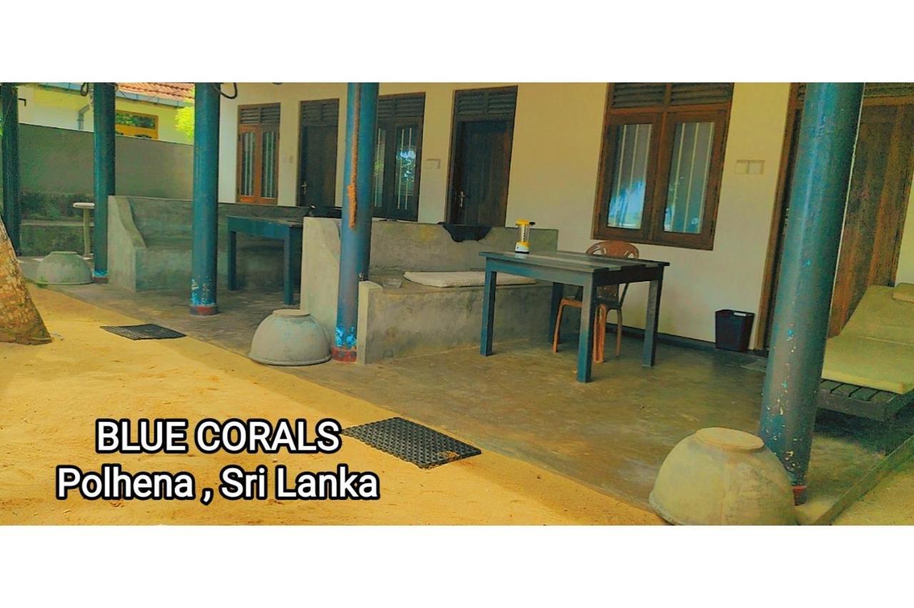 Blue Corals Beach Bungalow Matara Eksteriør billede