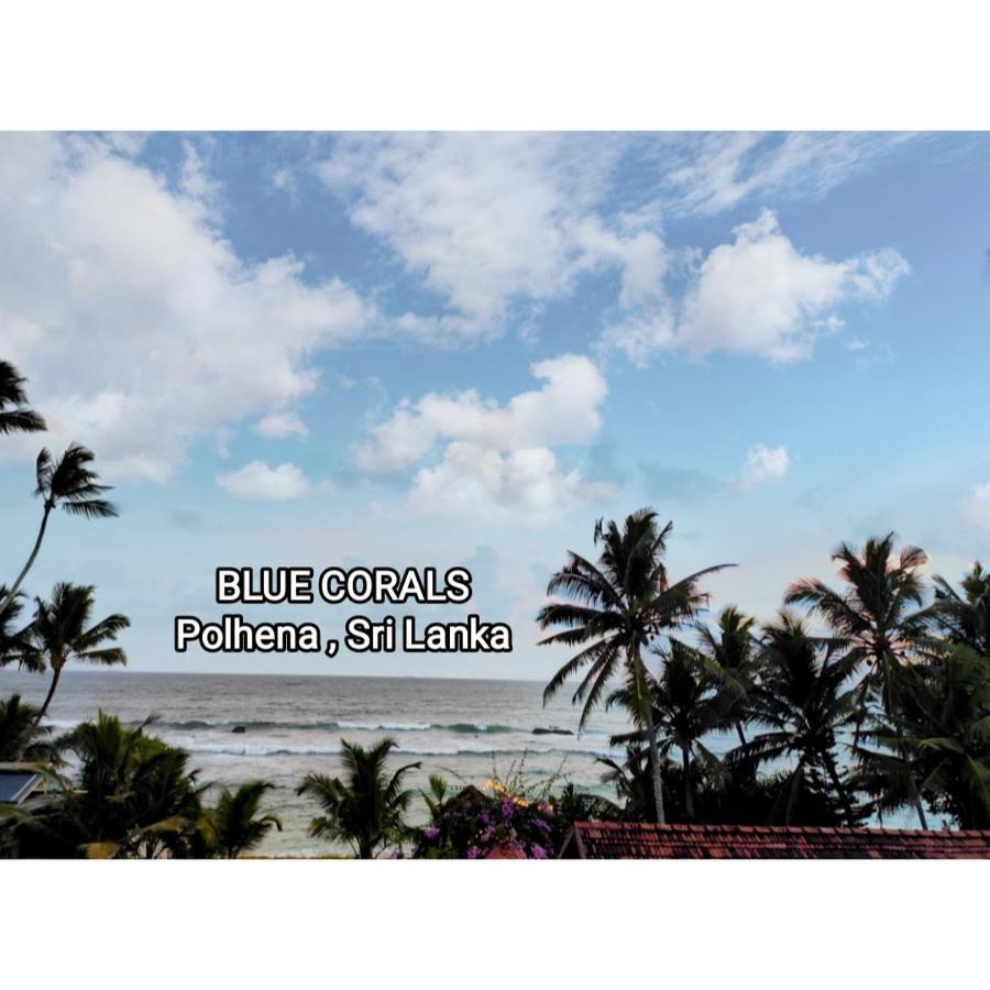 Blue Corals Beach Bungalow Matara Eksteriør billede