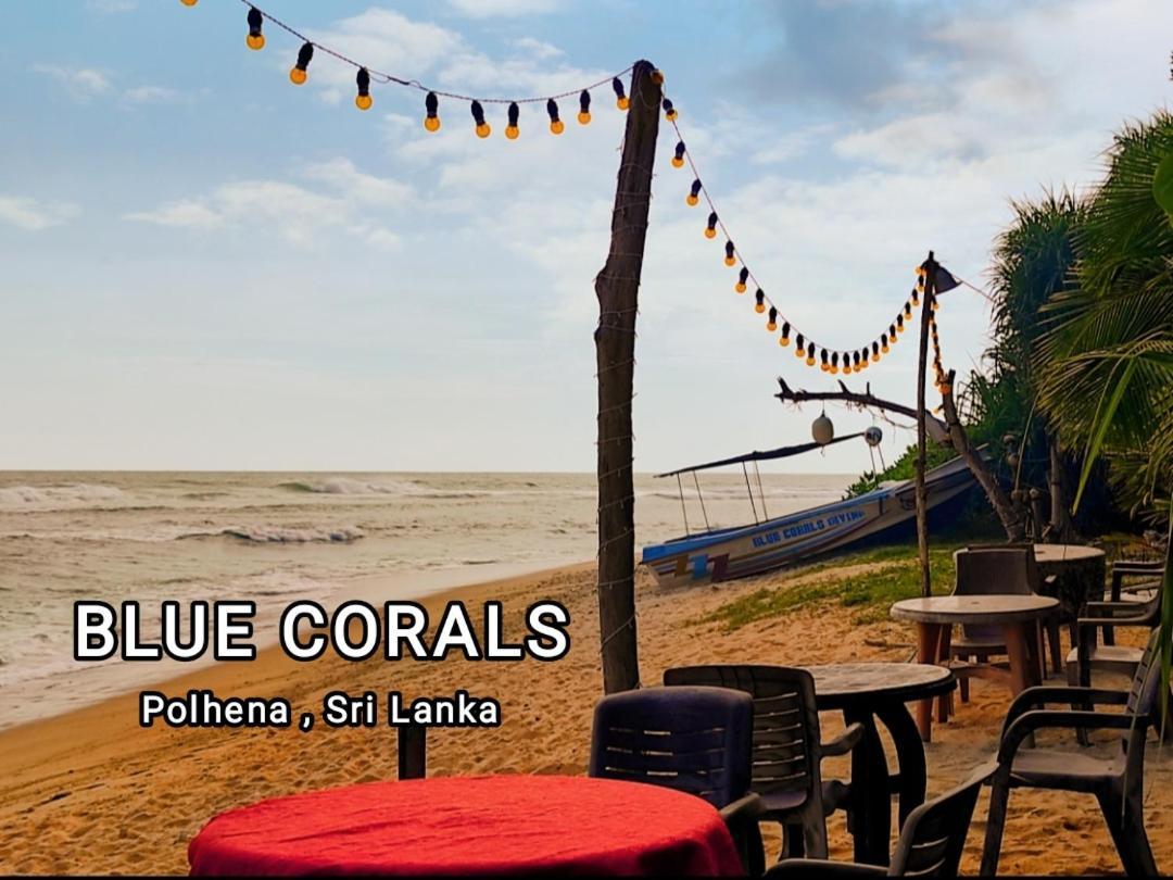 Blue Corals Beach Bungalow Matara Eksteriør billede