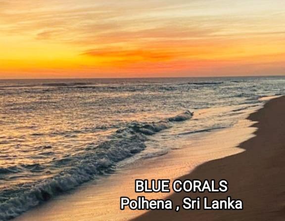 Blue Corals Beach Bungalow Matara Eksteriør billede