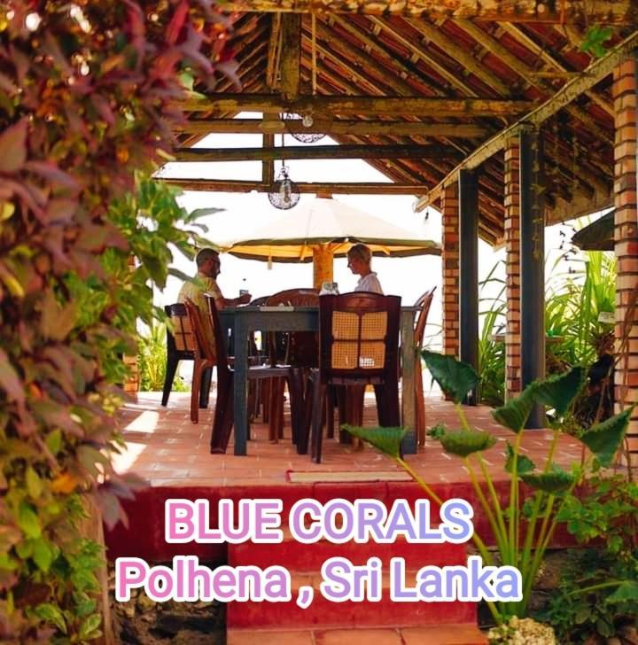Blue Corals Beach Bungalow Matara Eksteriør billede