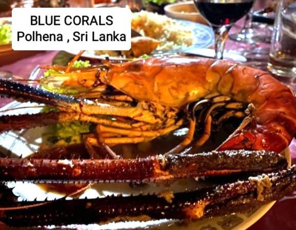 Blue Corals Beach Bungalow Matara Eksteriør billede