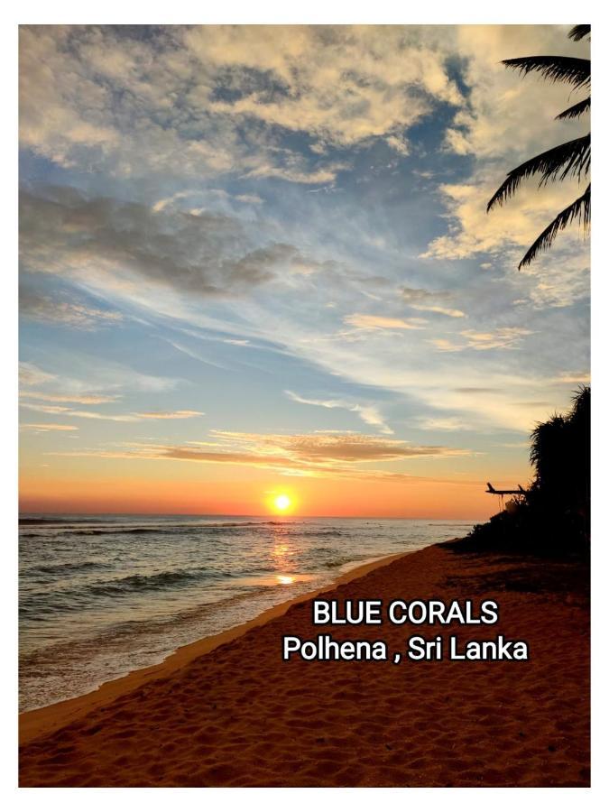Blue Corals Beach Bungalow Matara Eksteriør billede